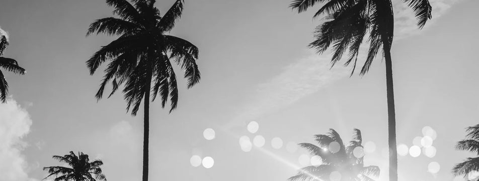 Summer 2026 Edits