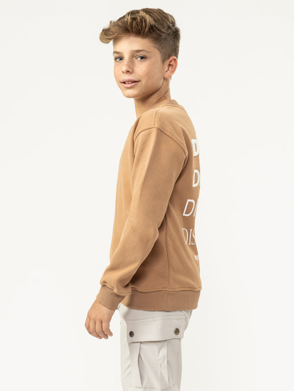 SWEATSHIRT Brown / 14