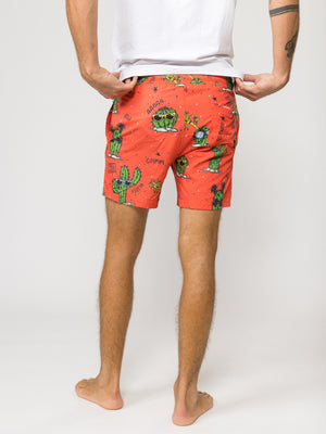 SWIMWEAR Red / XXL