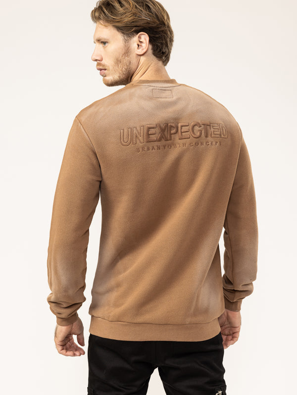 FASHION HOODIE Brown / XXS