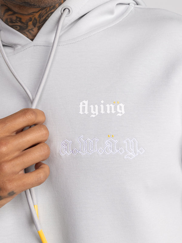 FASHION SET TOP Light Gray / XXL